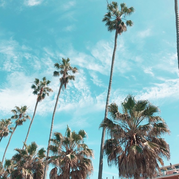 Meet your Posher, Maclaine - Picture 1 of 1